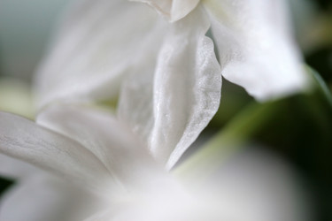 Similar image 8358828