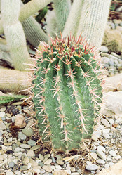 Similar image 8358880