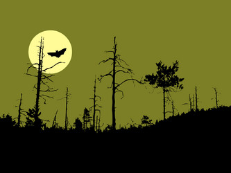 Similar image 8358902