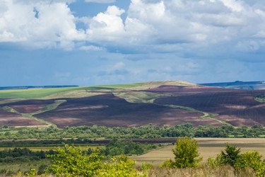 Similar image 8358987