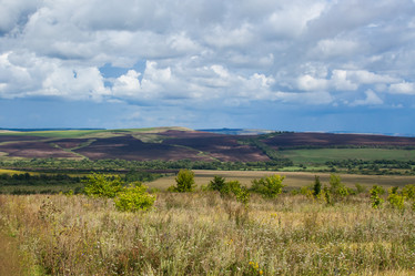 Similar image 8359003