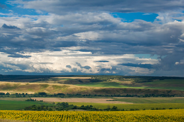 Similar image 8359004