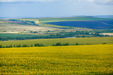 Similar image 8359008