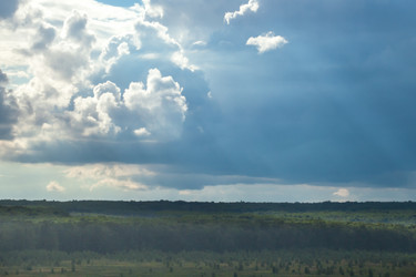 Similar image 8359010