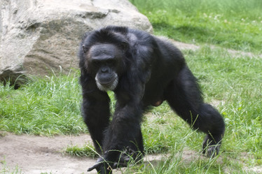 Similar image 8359075