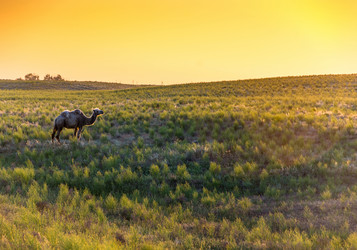 Similar image 8359708