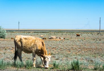 Similar image 8359711