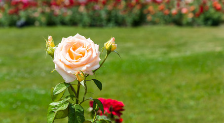 Similar image 8359712