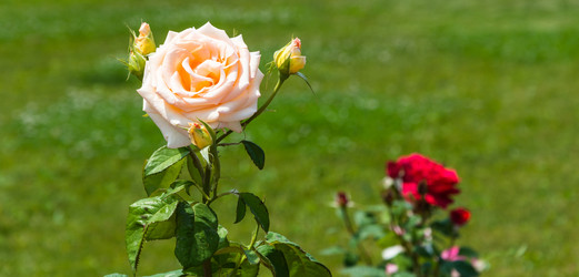 Similar image 8359713