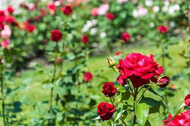 Similar image 8359714