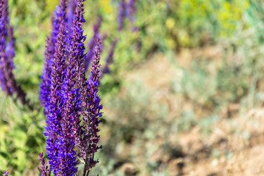 Similar image 8359715