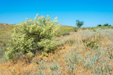 Similar image 8359722