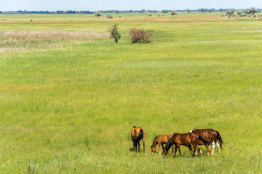 Similar image 8359725