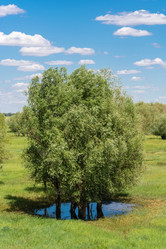 Similar image 8359729