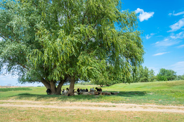 Similar image 8359730