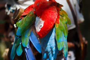 Similar image 8359749