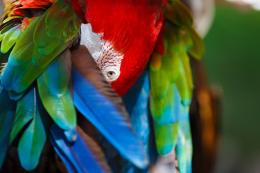 Similar image 8359751