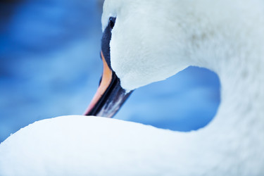 Similar image 8359754