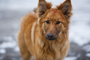 Similar image 8359758