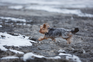 Similar image 8359760