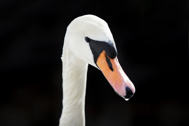 Similar image 8359762