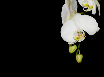 Similar image 8359884