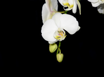 Similar image 8359900