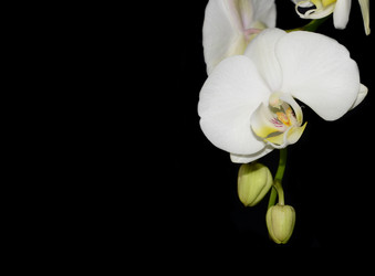 Similar image 8359901