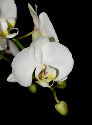 Similar image 8359905