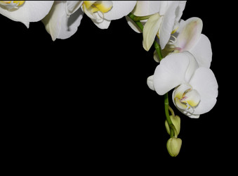 Similar image 8359909