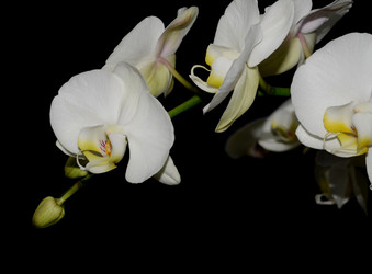 Similar image 8359911