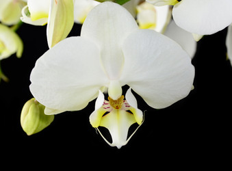 Similar image 8359912