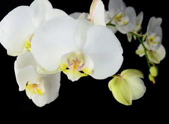 Similar image 8359915