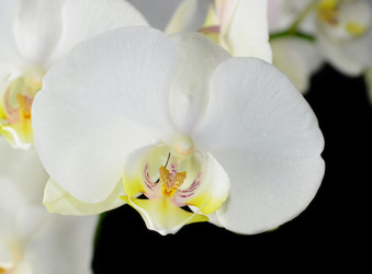 Similar image 8359916