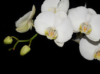 Similar image 8359925