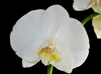 Similar image 8359926