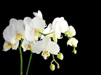 Similar image 8359930