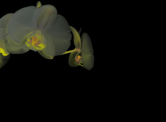 Similar image 8359934