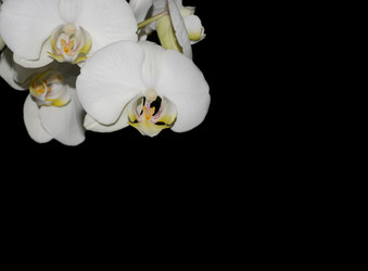 Similar image 8359935