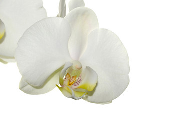 Similar image 8359941