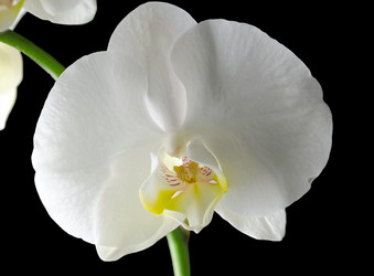 Similar image 8359949