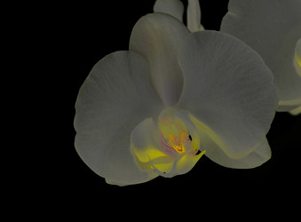 Similar image 8359950