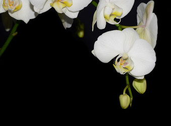 Similar image 8359952