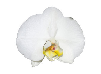 Similar image 8359958