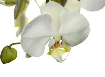 Similar image 8359966