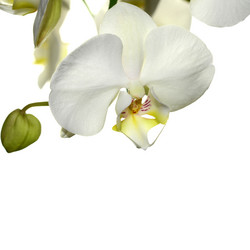 Similar image 8359980