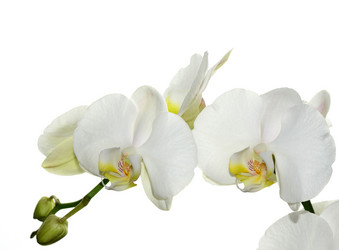 Similar image 8359992