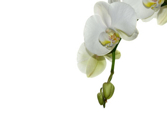 Similar image 8359993