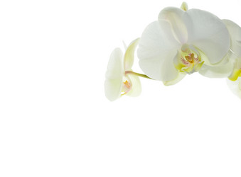 Similar image 8359994