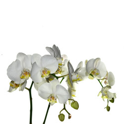 Similar image 8360008